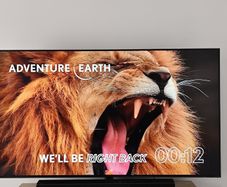 Television