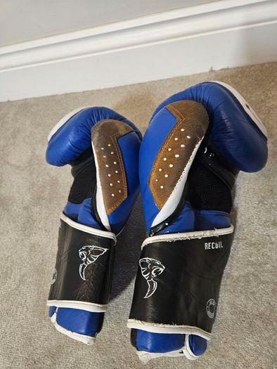 Boxing Gloves (sparing)