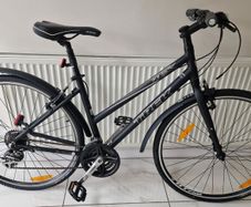 Trek 7.1FX