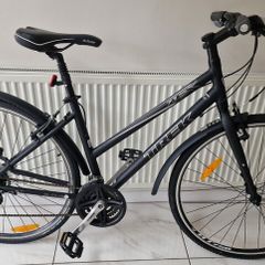 Trek 7.1FX