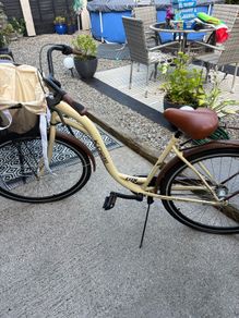 ladies city bike