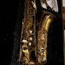 Artemis Alto Saxophone with Hard Case Image 2