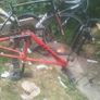 bike Image 10