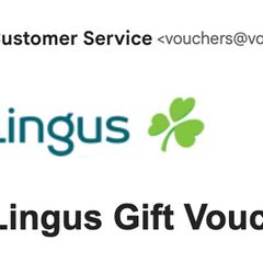 Aer Lingus 100 EUR voucher
