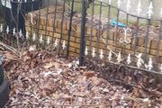 Gates