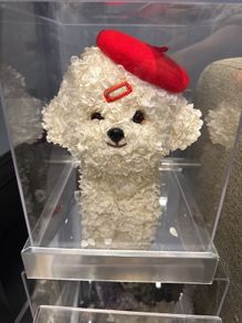 Preserved Flower Dog in Display Box, Decorative Gift