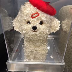 Preserved Flower Dog in Display Box, Decorative Gift