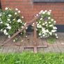 Genuine Antique Cart Jack Very Unusual And Rare Garden Ornament Image 9
