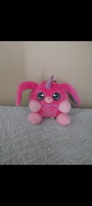 mini teddy