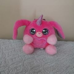 mini teddy
