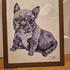 Original Pug Picture
