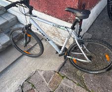 Trek bike