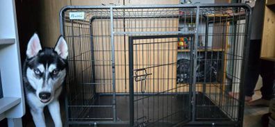 Large Dog Crate