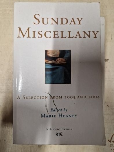 irish history,  politics and interests