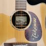 Takamine TAN16C-12 Image 2