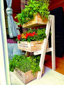 3 Tier planter