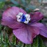 Antique Art Deco Sapphire & Diamond Ring - Platinum Image 6