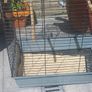 bird cage Image 5