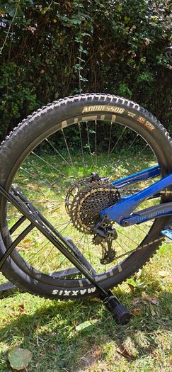 MTB 2021 YT Capra 29inch L-size