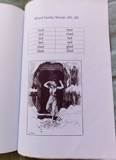 Steiner Activity Booklet Letter D