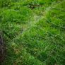 50m Stock Fence / Sheep Wire / Garden Boundary Fencing Image 3