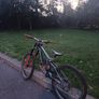 Vitus dh bike Image 3