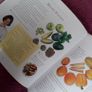 BOOK - Colour Healing Image 10