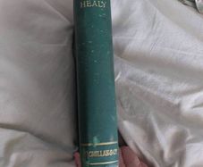 Memories of Father Healy of Little Bray