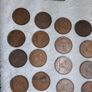 pingins Image 7