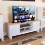 Arlington TV Unit Cabinet Image 5