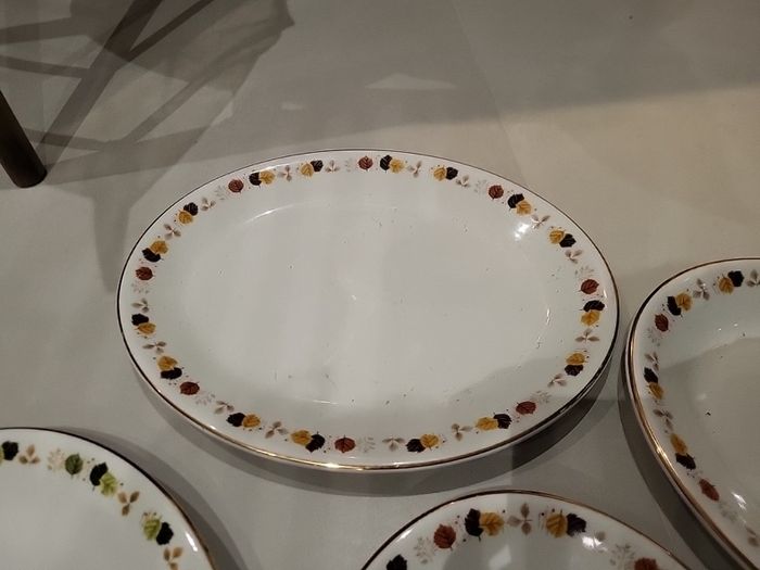 Large Arklow Oval plates Platters