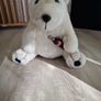 Coca-Cola Polar Bear Plush Image 2