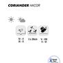 (C) Coriander Hacor seeds 3g (210497) Image 2