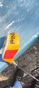 Set of Ping Woods