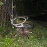 Luxury Original Leather Office Chair (One of a kind) Image 2