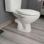 toilet and cistern Image 7