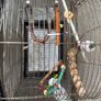 cage ( birds/parrots) Image 2