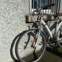 adults bike