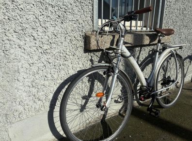 adults bike