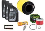 Honda Trx 500 Foreman Quad/atv Service Kit Inc Filters Plug Oil (2005-2019)