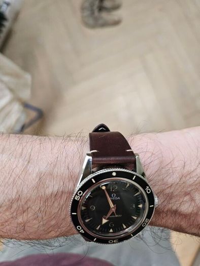 Omega seamaster