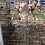 Baby bottle sterilise machine Image 2