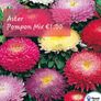 Aster seeds from 1 euro. over 15 different varieties Image 10