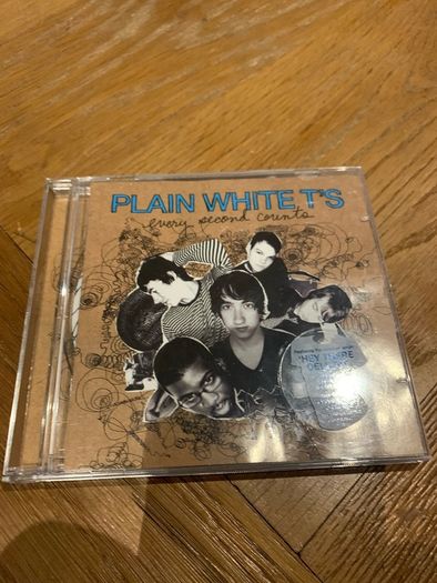 Plain White T's - Every Second Counts