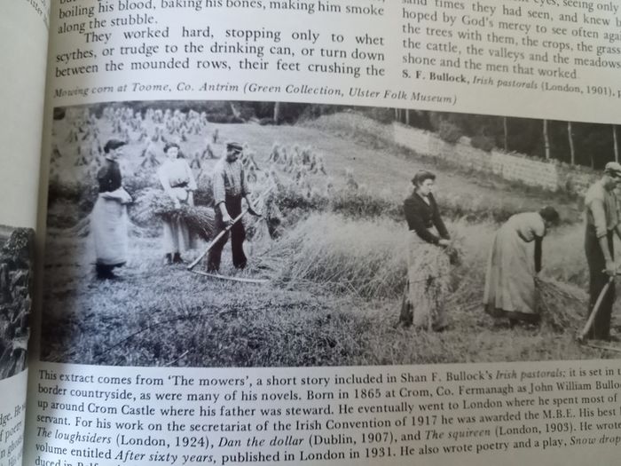 Faces of Ireland, 1875-1925