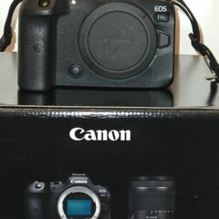 Canon EOS R6 mirrorless camera