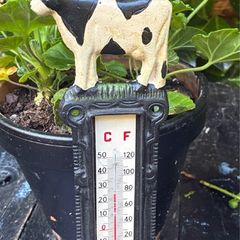 Cast Iron Wall Mounted Thermometer