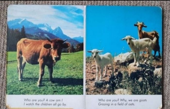 Vintage Children's book 'Who Are You?'