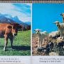 Vintage Children's book 'Who Are You?' Image 2