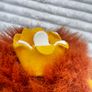 Vintage PMS Plush Stuffed Toy LION King Stuffed Animal  approx. 10" TUsed Please see photos Image 10